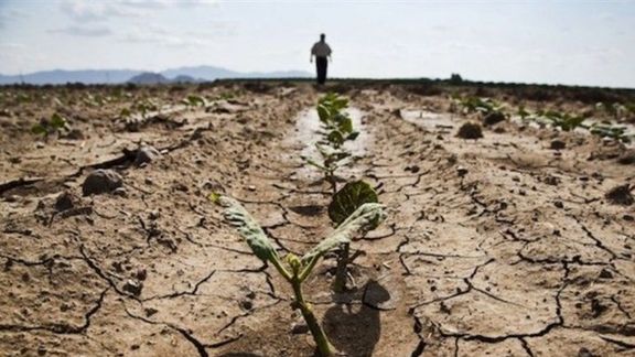 عضو کنفدراسیون صنعت آب: کشاورزان برای تامین آب همین کشت فعلی هم مشکل دارند