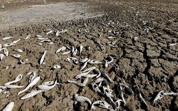 مدیرعامل آب و فاضلاب: تهران دومین استان فقیر از نظر منابع آبی است