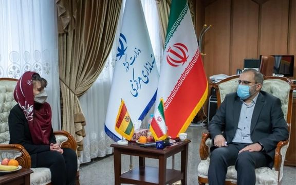 سفیر بولیوی: به دلیل تحریمها فقط میتوانیم با ایران تبادل کالا داشته باشیم