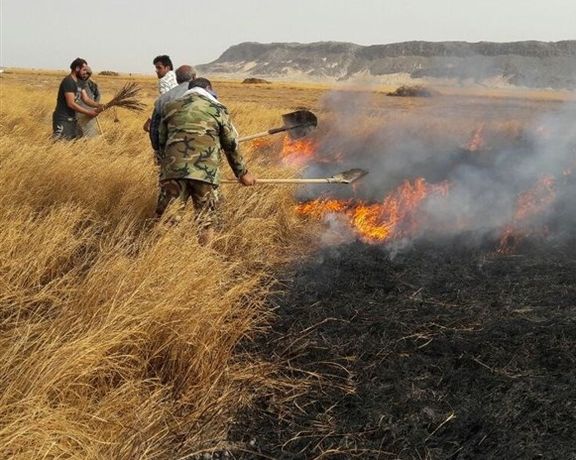 رییس سازمان مدیریت بحران: میتوانیم به کشورهای دیگر در مدیریت بحران کمک کنیم