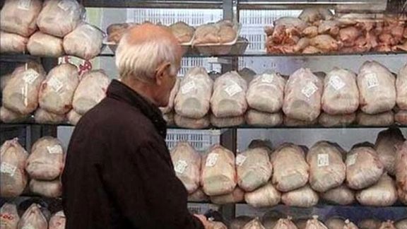 مدیرکل دامپزشکی تهران: تقاضای غیرمعمول مردم باعث کمبود مرغ شده است