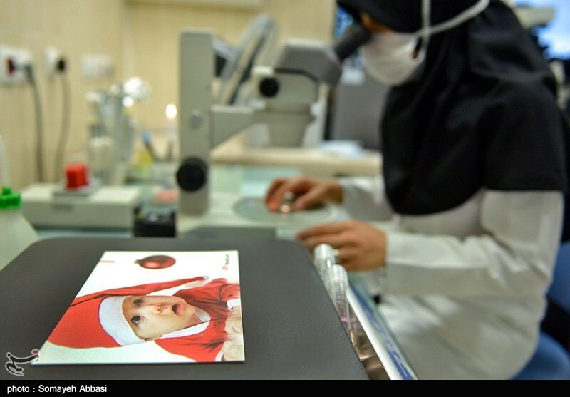 Missing embryos case at Tehran fertility clinic triggers legal probe