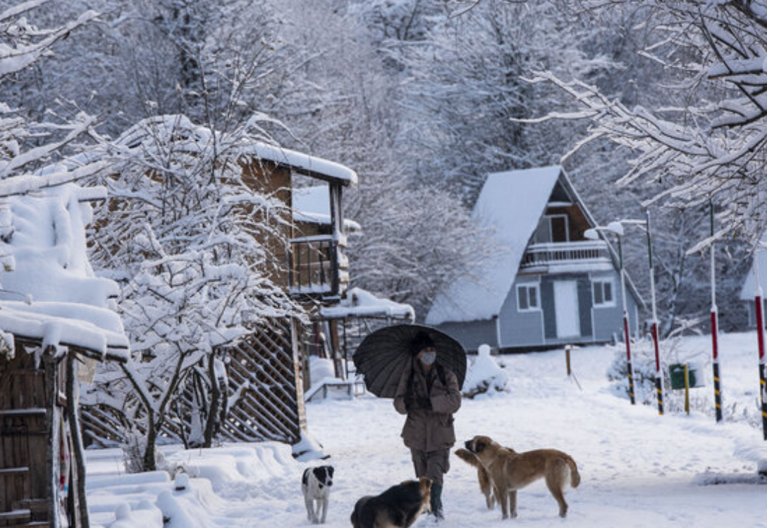 Snow in Iran's northern province of Mazandaran, 16 Dec. 2024