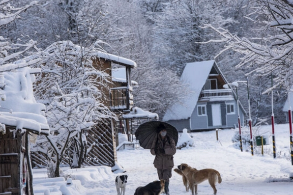 Iran shuts down schools and businesses as energy crisis deepens