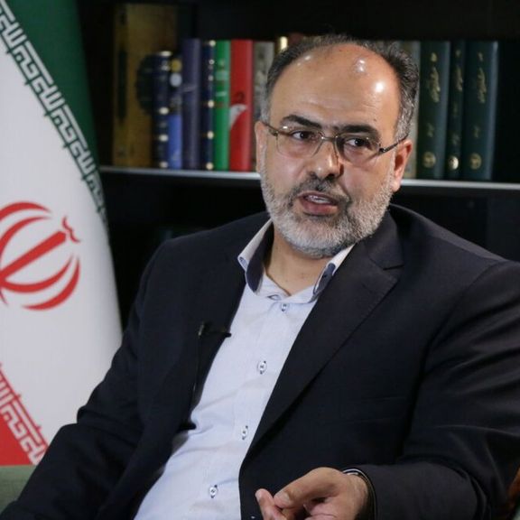 نماینده مجلس: زنان هر چه به سمت درس رفتند ازدواج و بچهدار شدنشان کم شد