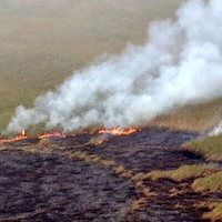 نفس تنگ هویزه؛ سرچشمه آلودگی هوا چیست؟