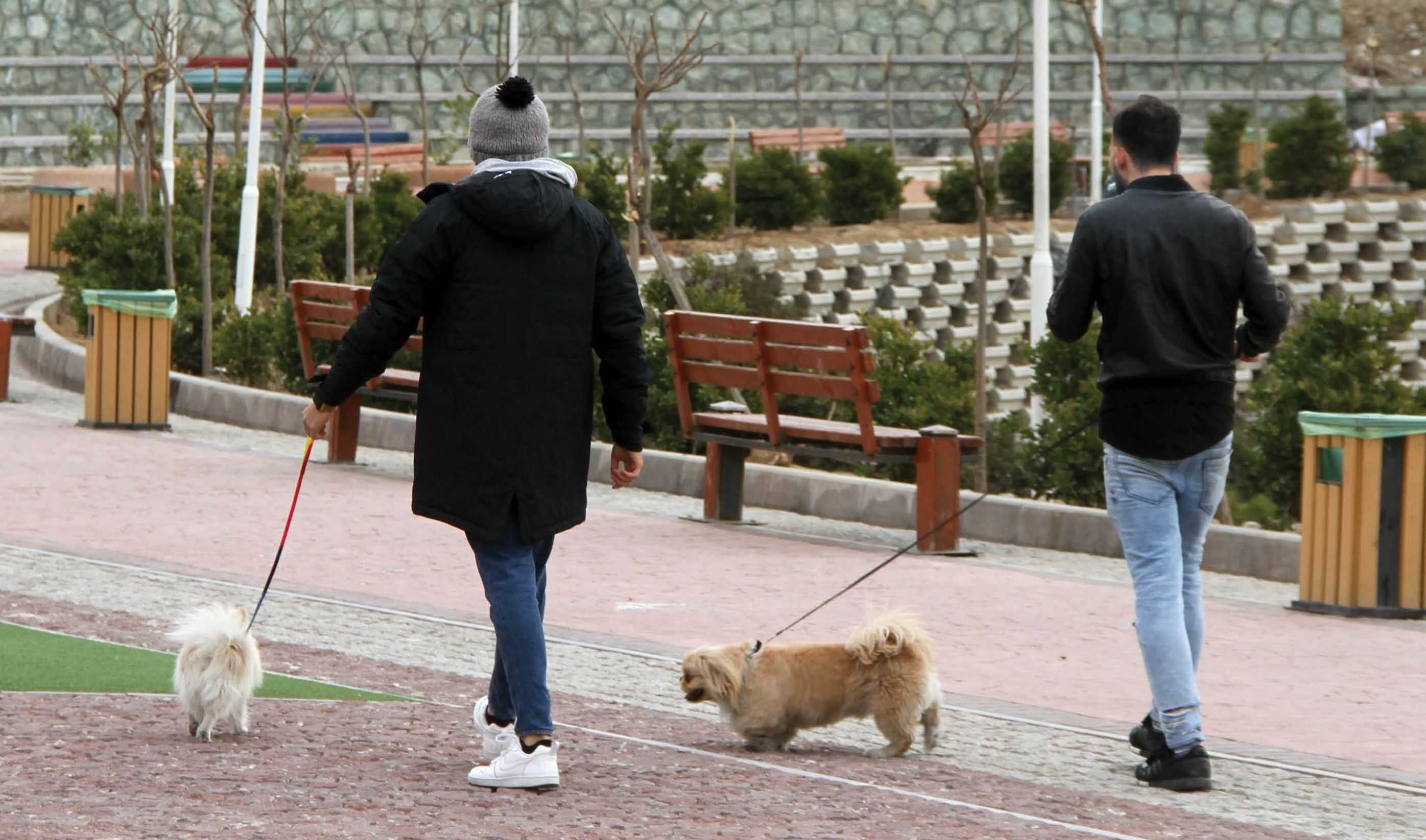 Iran's Hardliners Threaten Renewed War On Man's Best Friend 