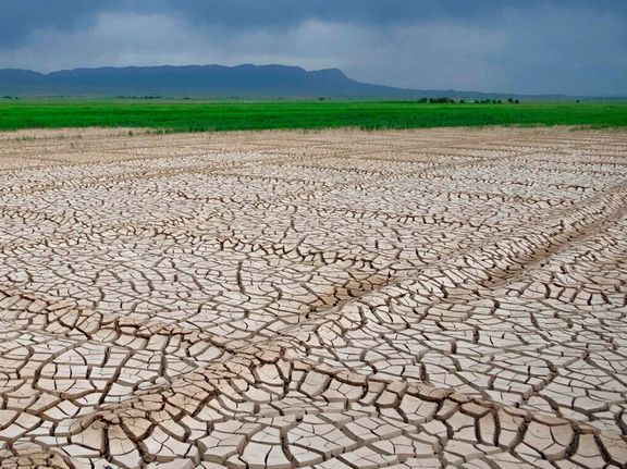 معاون سازمان حفاظت محیطزیست: شمال ایران هم از نظر آب در شرایط مناسبی نیست