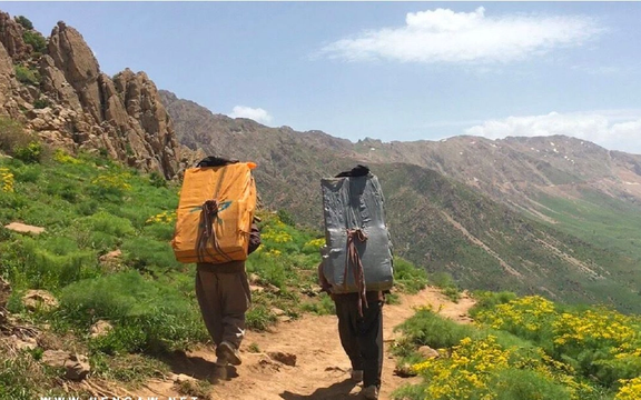 دو کولبر اهل مریوان بر اثر تیراندازی ماموران مرزبانی زخمی شدند