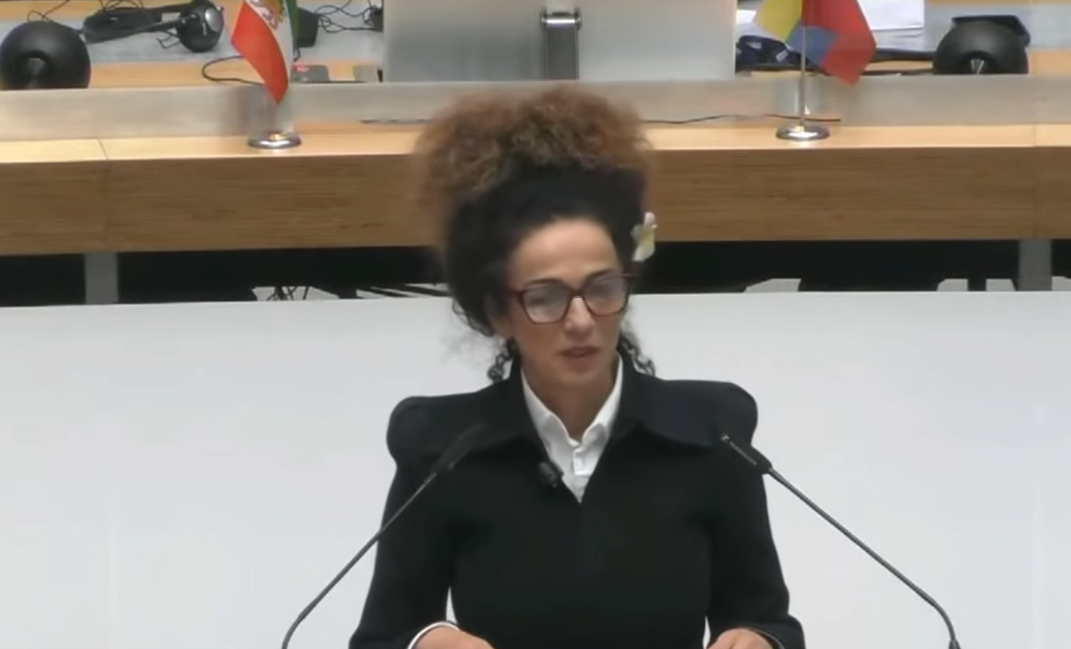 مسیح علی‌نژاد: برای ریختن دیوار دیکتاتوری خامنه‌ای باید از تجربه دیگر کشورها استفاده کرد