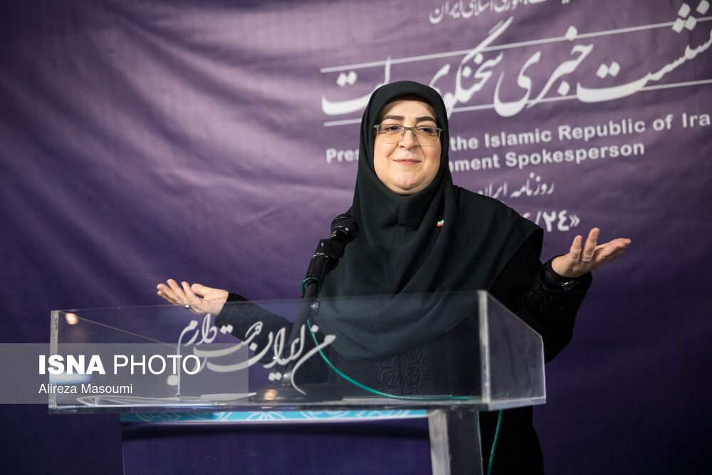 هاشمی‌طبا،‌ معاون سابق رییس‌جمهور: دولت پزشکیان خود را به بازی مشغول کرده است