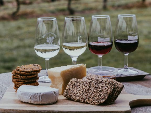 سازمان بینالمللی تاک و شراب: میزان تولید شراب امسال به کمترین در ۶۰ سال گذشته میرسد