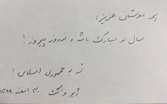 ژیو وانگ پژوهشگر آمریکایی که ۴۰ ماه در ایران زندانی بود از کارزار نه به جمهوری اسلامی حمایت کرد
