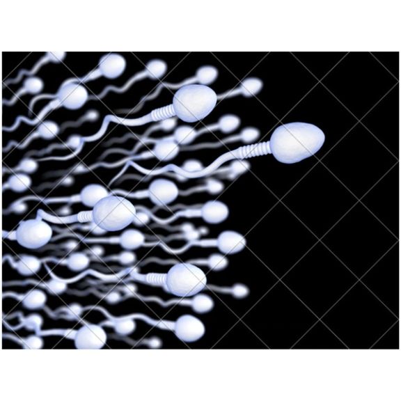 تحقیق کالج دانشگاهی لندن:خودارضایی مردان قبل از رابطه جنسی شانس فرزندآوری را افزایش میدهد