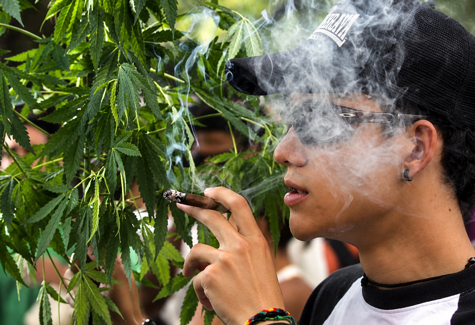 Young Iranians turn from opium to cannabis and meth