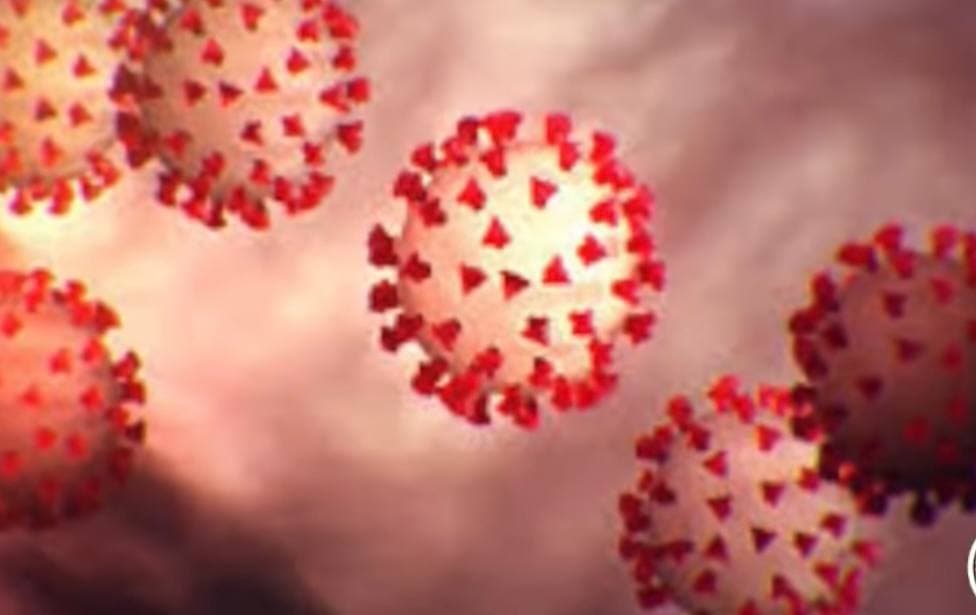 Iran Minister Says New Coronavirus Strain, Omicron Could Spread