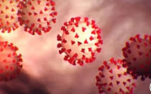 Iran Minister Says New Coronavirus Strain, Omicron Could Spread