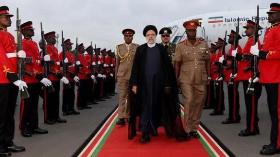 قائممقام وزیر کشاورزی از برنامهریزی برای واردات دام و گوشت قرمز از آفریقا خبر داد