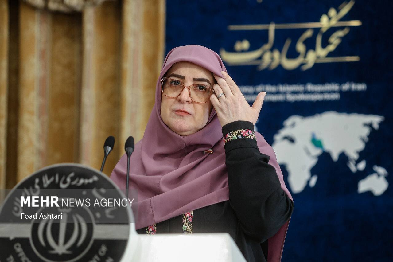 سخنگوی دولت: به‌دنبال گره‌گشایی در موضوع اینترنت با حفظ منویات رهبری هستیم