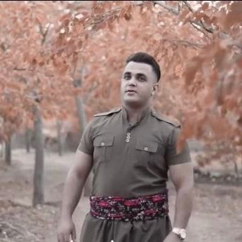 فیروز میرانی، هنرمند کرد، پس از اصابت گلوله ساچمهایی از ناحیه هر دو چشم مجروح شد