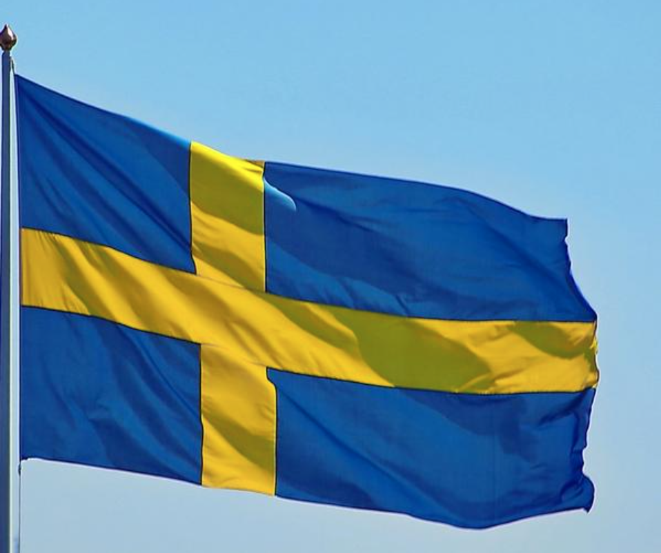السويد تؤكد اعتقال أحد مواطنيها في لبنان