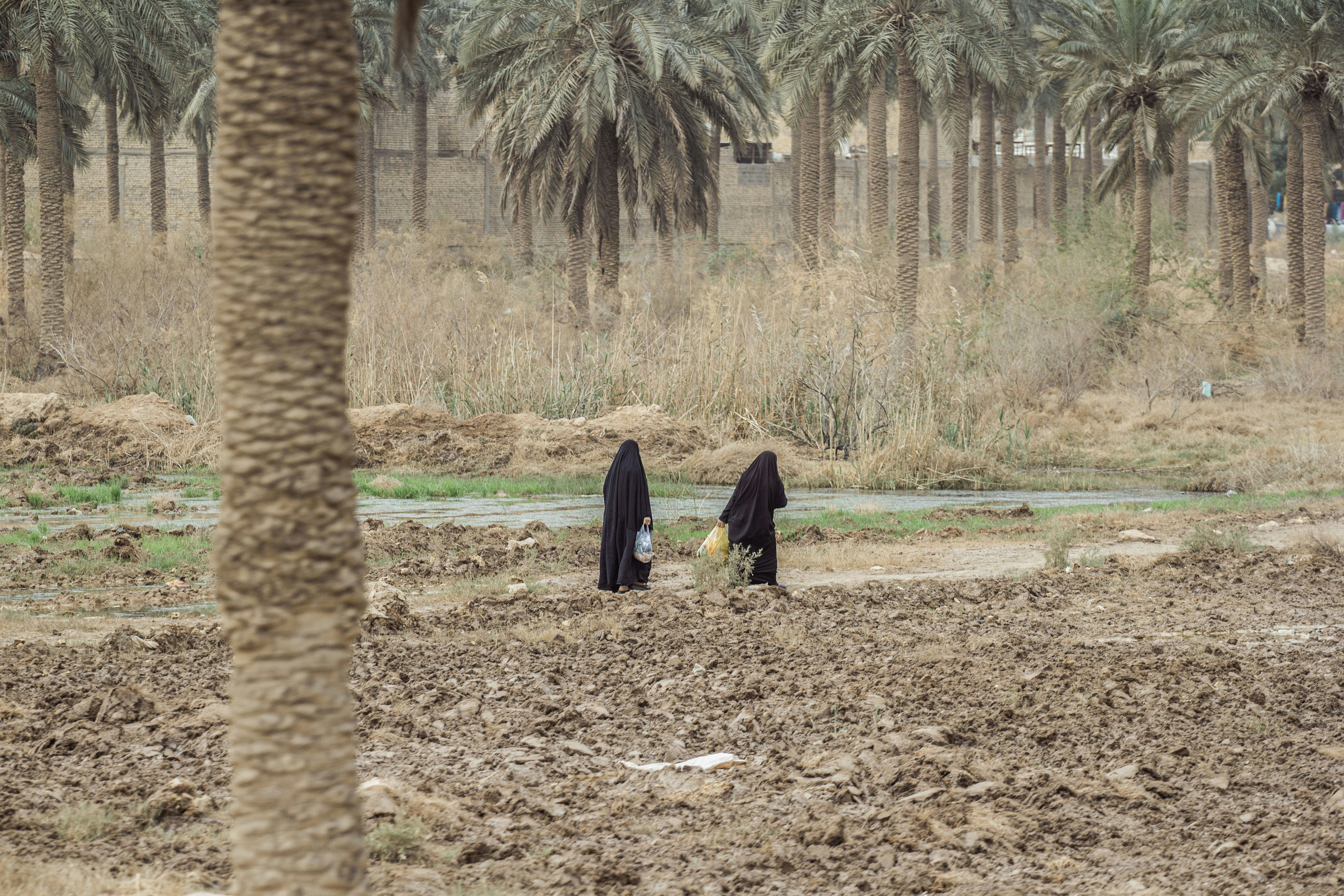 أزمات مائية وصناعية وزراعية.. مسؤول إيراني: 35 مليون شخص يواجهون العطش بسبب نقص المياه