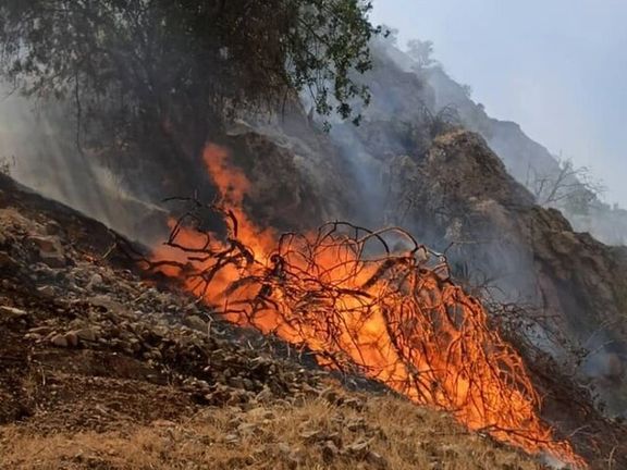 منابع طبیعی کهگیلویه و بویراحمد: برای اطفا حریق جنگلهای نارک تنها یک بالگرد وجود دارد