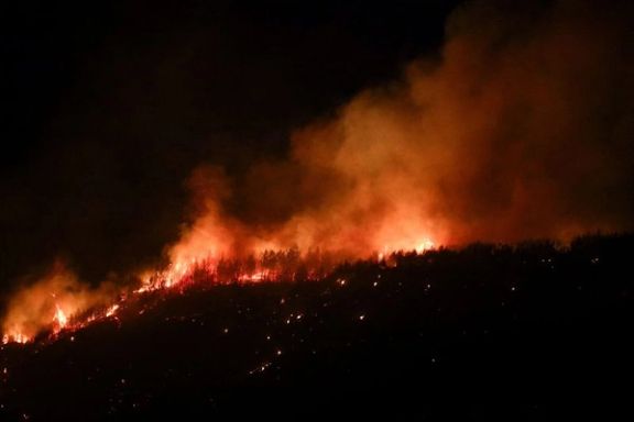 یک پژوهش جهانی: با وجود کاهش مساحت جنگلهای سوخته، انسانها بیش از همیشه در خطرند