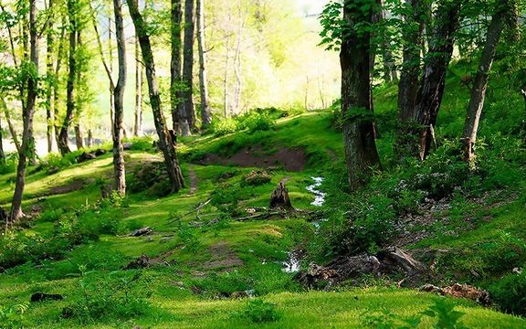 نیروی انتظامی پارک جنگلی دریاچه شورمست را به دلیل حجاب اجباری نداشتن گردشگران پلمب کرد