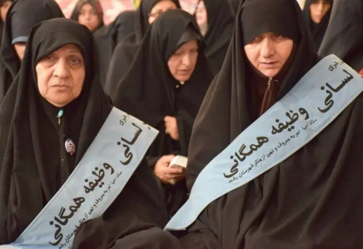 Iran to mobilize 80,000 volunteers for hijab campaign, official says