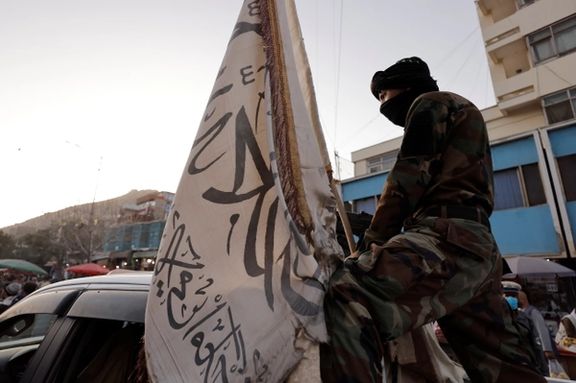 عفو بینالملل: نیروهای طالبان ۱۳ نفر از اعضای قوم هزاره را در ولایت دایکندی کشتهاند