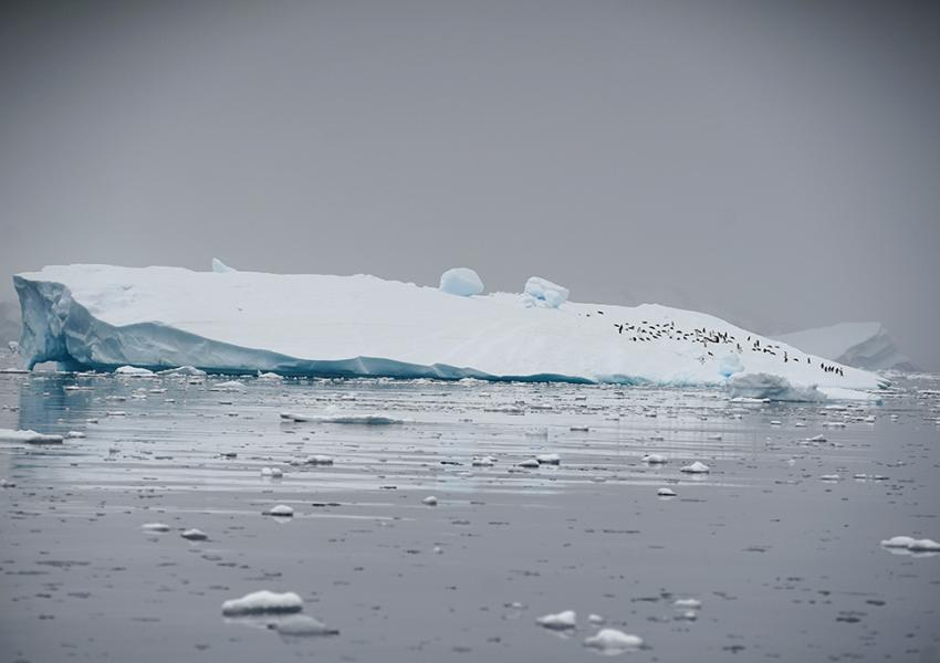 سامانه چرخش آب‌های جهانی در خطر فروپاشی