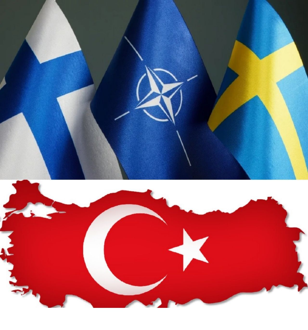 آنکارا نشست سه‌جانبه با سوئد و فنلاند را لغو کرد؛ تداوم تنش‌های سوزاندن قرآن‌ در استکهلم