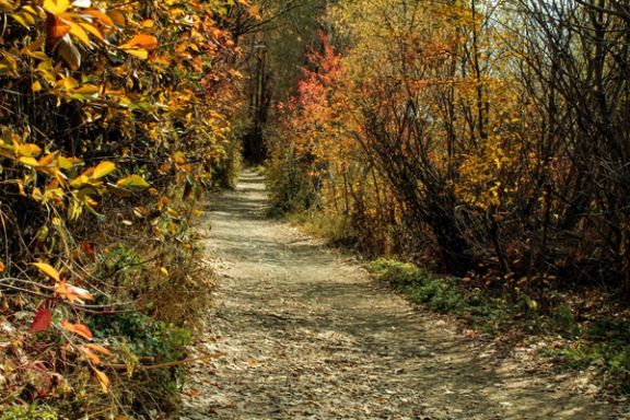 یکی از خشکترین پاییزهای ۵۰ سال اخیر ایران به ثبت رسید