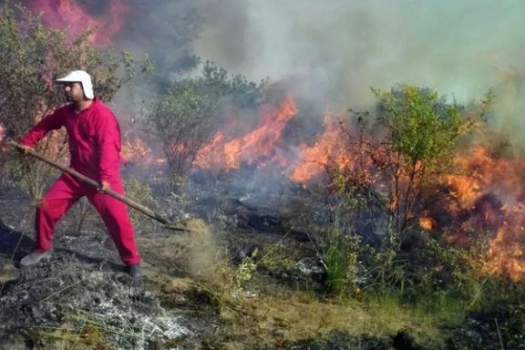 جنگلهای دیزمار جلفا از سه روز پیش در آتش میسوزند