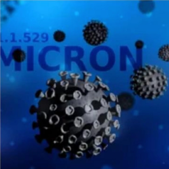 تأكيد وصول أوميكرون إلى إيران.. واللجنة العلمية لكورونا تدعو إلى الحجر الصحي