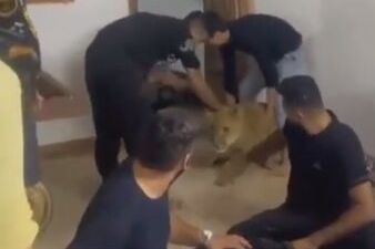 رفیعی، نماینده مجلس: در بازار یافتآباد یا آزادگان انواع حیوانات غیرمتعارف را میتوان خرید