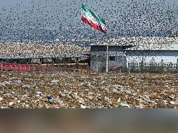 معاون شهردار تهران: تولید زباله در ایران سه برابر کشور آلمان است