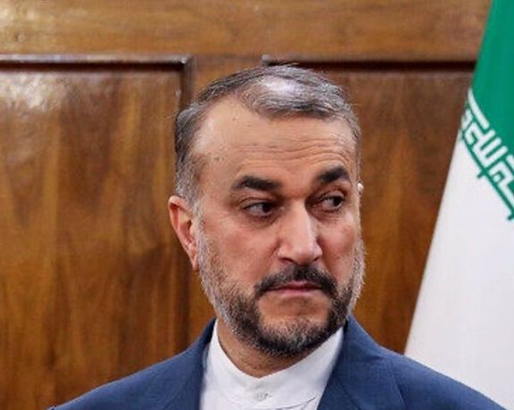 حسین امیرعبداللهیان: ما هیچگاه پیشنهاد لغو تابعیت ایرانی کسی را نخواهیم داد