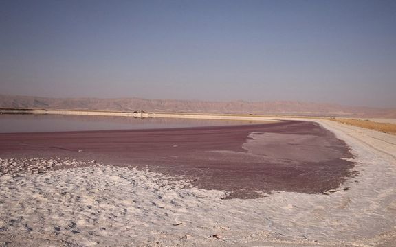 خبرگزاری ایلنا: تقریبا هیچ تالاب زندهای در استان فارس باقی نمانده است