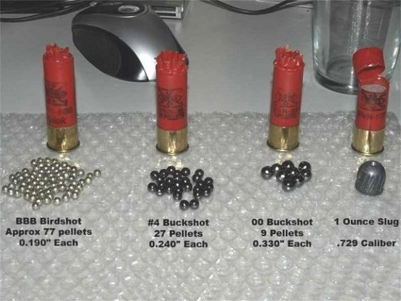 Different shotgun shells show the difference between small 'birdshot' pellets and larger projectiles