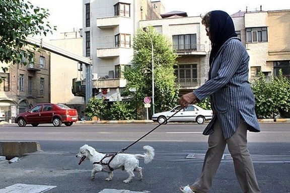 A woman walking a dog in a Tehran street in Iran.