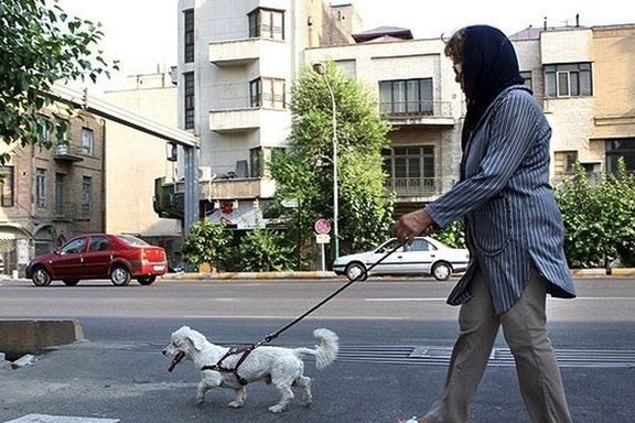 New Bill Aims To Ban Dogs As Pets In Homes And Streets In Iran