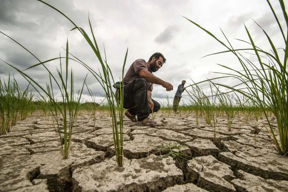 Farmers inspect parched soil in Iran as drought tightens its grip