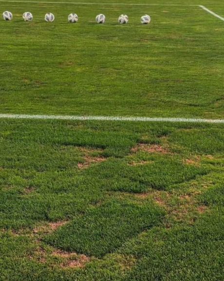 عقبنشینی شرکت توسعه از تهدید سرخابیها: چمن استادیوم آزادی را اسفند عوض میکنیم