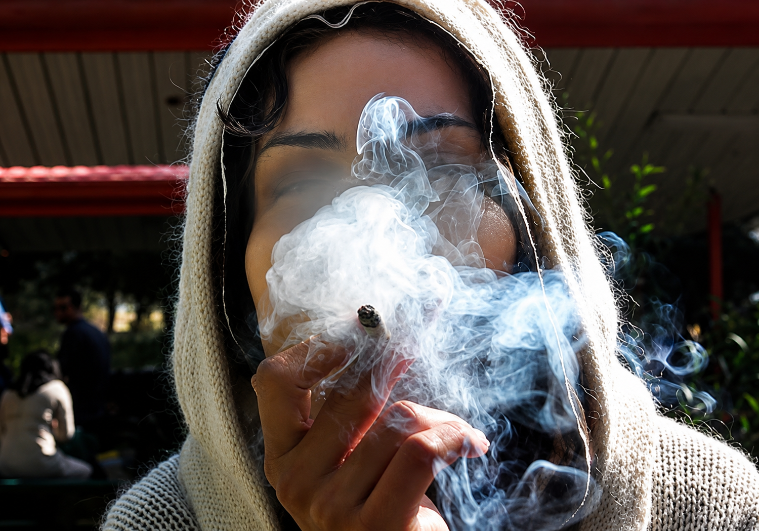 Cannabis emerges as leading drug among Iranian women