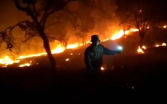 استاندار کهگیلویه و بویراحمد: با عاملان آتشزدن عمدی جنگلها تعارف نداریم، برخورد میکنیم