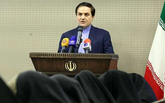 مدیرکل پارلمانی وزارت خارجه: شرایط برای بازگشت ایرانیان پناهنده فراهم است