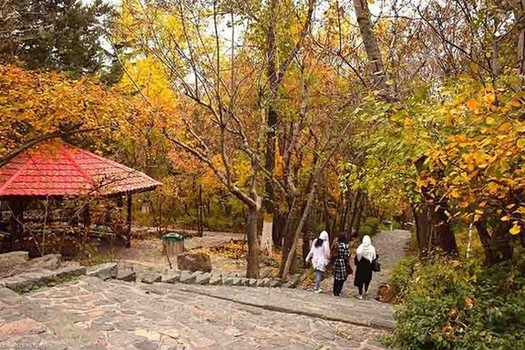 شهرداری تهران از طغیان «سوسکهای پوستخوار» در پارکها و بوستانهای این شهر خبر داد