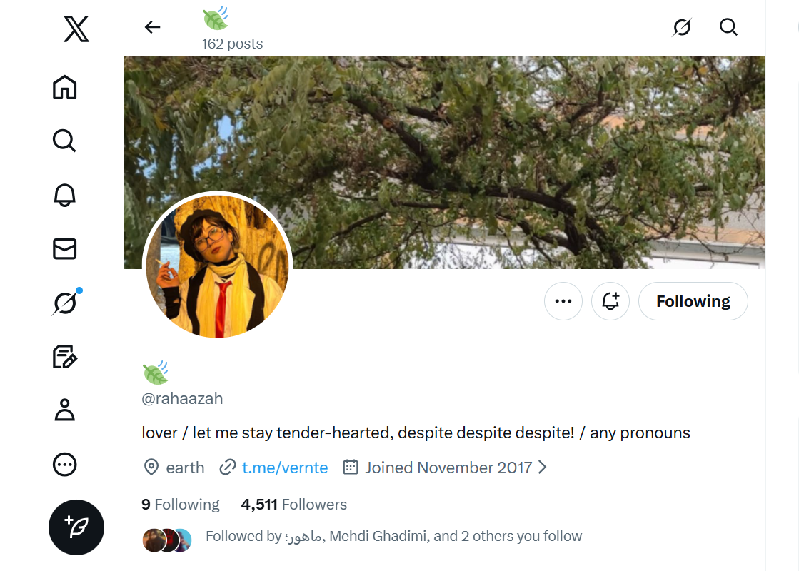 A screengrab of Raha Bahloulipour’s X page